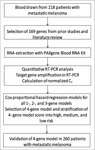 Figure 1. Schema of the workflow for mRNA expression profiling in peripheral blood of patients treated with Tremelimumab.