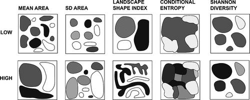 Figure 2. Visualization of the spatial patch metrics used in ordinary least square regression models to evaluate the role of spatial vegetation characteristics on the minimum image resolution requirements for mapping microforms and plant functional types. Presented are a hypothetical “low” and “high” values for mean area (patch size) standard deviation (SD) of mean area (patch size), landscape shape index (patch shape), conditional entropy (patch configuration), and Shannon diversity (patch diversity).