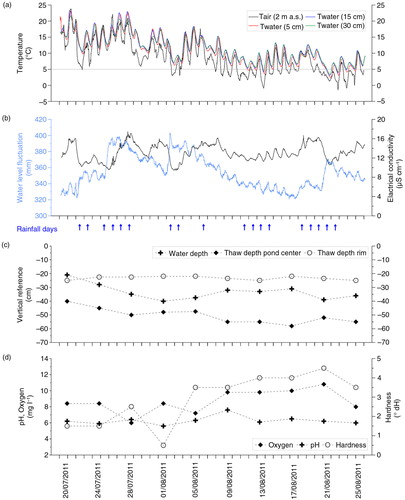 Fig. 8  Monitoring data obtained at the Kyt-01 site from 29 July to 16 August 2011. (a) Air and water temperatures at different depths. (b) Electrical conductivity and water level; rainfall days are marked according to our rainwater sampling for stable isotope analyses and rain gauge measurements (pers. comm. J. van Huissteden, Vrije Universiteit Amsterdam, Faculty of Earth and Life Sciences, The Netherlands). (c) Thaw and water depth in the pond, and thaw depth in the adjacent polygon rim as measured by hand. (d) Selected hydrochemical properties of the monitored pond Kyt-01 obtained during the 10 monitoring events in summer 2011. Note varying scales.