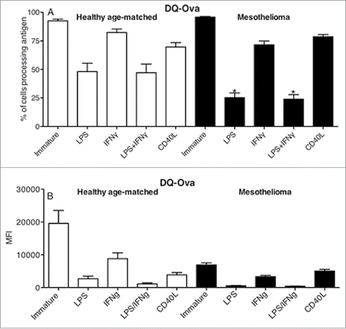 Figure 5. LPS-matured MoDCs from mesothelioma patients lose their capacity to process antigen. Immature and LPS+/-IFNγ or CD40L activated MoDCs from mesothelioma patients and healthy age-matched volunteers were incubated for 1 h with FITC-DQ-OVA. Pooled data of the percentage of DCs still processing antigen and MFIs indicating relative antigen-processing capacity is shown as mean ± SE from age-matched volunteers (n = 29) and mesothelioma patients (n = 42). *p < 0.05.