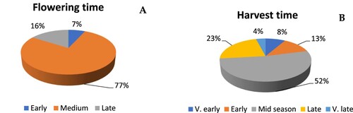 Figure 1. The distribution of flowering time and harvesting time classes in analysed heritage apple cultivars.