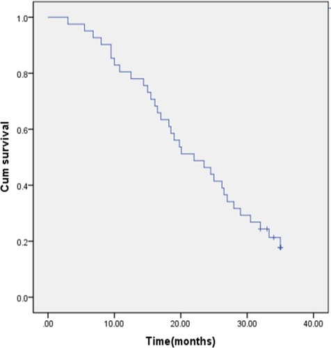 Figure 2 Kaplan–Meier estimate of OS for Chinese NPC patients with pulmonary and/or hepatic metastasis treated with low-dose apatinib plus S-1.