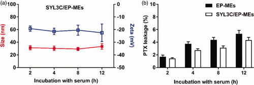 Figure 4. Stability of microemulsions. (A) Particle size and zeta potential of SYL3C/EP-MEs after incubation with serum for different time intervals. (B) Leakage of PTX from SYL3C/EP-MEs at different time post incubation with serum.