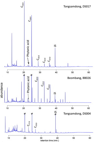 Figure 8. Chromatograms results from the GC-MS analysis. 5-α Cholestane was added as an internal standard (1232 ng). *IS: internal standard. (A) Tongsamdong sample, DS017; (B) Beombang sample, BB026 from Beombang; (C) Tongsamdong sample, DS004.