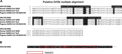 Figure 4. Analysis of orf3b. A. Multiple alignment of orf3b protein sequence between 2019-nCoV (HKU-SZ-005b), SARS-CoV and SARS-related CoV. B. A novel putative short protein found in orf3b.