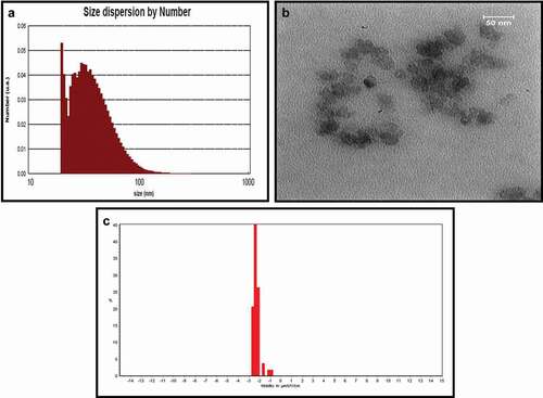 Figure 1. Physicochemical properties of AKO-NE by (a) DLS (PS: 39.16 nm, PDI: 0.25), (b) TEM (Spherical morphology) (c) and zeta potential (−29.44 mV) methods.