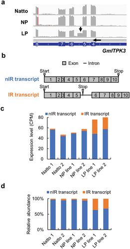 Figure 1. Characterization of the intron retention transcript of GmITPK3. (a) Alignment of RNA-Seq short reads on the GmITPK3 of Natto-kotsubu (Natto) cultivar, normal-phytic acid (NP) line, and low-phytic acid (LP) line. Splicing error between exons 5 and 6 in GmITPK3 of LP line is indicated by an arrow. (b) Transcripts of the non-intron retention (nIR) and intron retention (IR). Gray boxes indicate the exon; thick black lines indicate introns; number indicates the exon number; triangles indicate the positions of in-frame start and stop codons. (c) Expression level (CPM) of the nIR and IR splicing transcript of Natto cultivar, NP line, and LP line leaves. (d) Relative abundance of the nIR and IR splicing transcript of Natto cultivar, NP line, and LP line leaves.