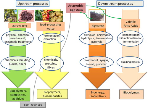 Figure 4. Cascading activities around anaerobic digestion (upstream and downstream processes) to valorise agro and food processing waste.