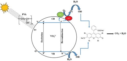 Figure 12. Mechanism of photocatalysis.