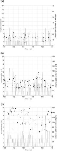 Figure 14. Eddy-Signal-Diagram showing the simulation time (bottom axis), diameter (left axis – line) and location (right axis – dots) of the largest passing eddy on transect 1 in the MF (a), VSF 30° (b) and VSF 45° (c).