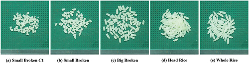 Figure 3. Samples of five categories of milled rice grains for measuring length and width.