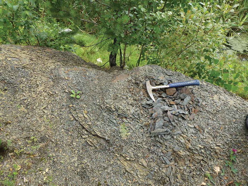 Figure 5. Dark grey mudstones, Uzyan Formation, Sermenevo Quarry, near the village of Sermenevo. Hammer for scale.