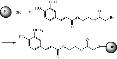 Figure 2. Synthesis of FA-Hb.