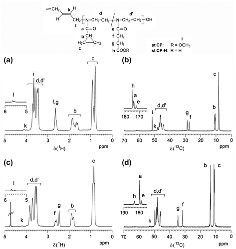 Figure 1. 1H (a,c) and 13C NMR spectra (b,d) of a statistical copolymer of CPOxa and MEtOxa (st CP2; a,b; solvent: CDCl3) and the corresponding copolymer after hydrolysis (st CP2-H; c,d; solvent: D2O).