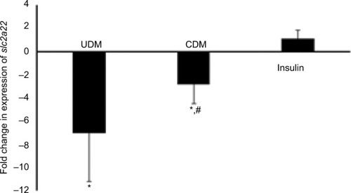 Figure 6 Gene expression of drug transporter gene slc22a1 in the liver of the tested mice.