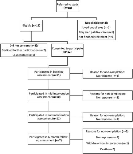 Figure 1. Brain Cancer and Exercise (BRACE) Study flowchart.