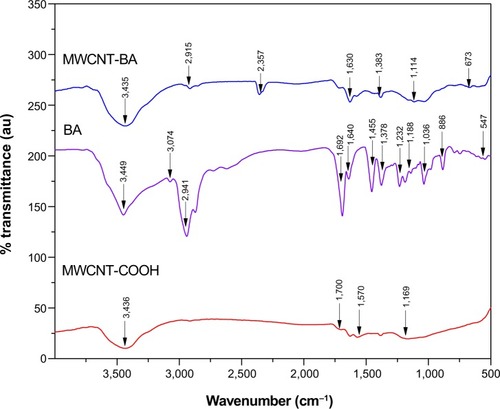 Figure 4 Fourier transform infrared spectroscopy of oxidized multiwalled carbon nanotubes (MWCNT) before and after loading with betulinic acid (BA).