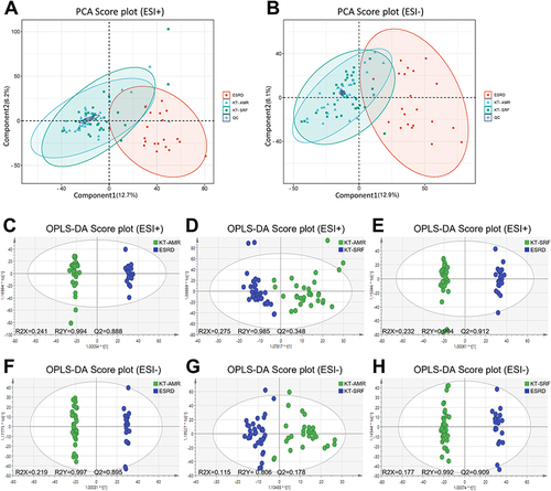 Figure 1 Differences in intestinal metabolic profiles among the KT-AMR, KT-SRF, and ESRD groups. (A) PCA score plots in the ESI+ mode; (B) PCA score plots in the ESI- mode; (C) OPLS-DA score plots in the ESI+ mode (KT-AMR vs ESRD); (D) OPLS-DA score plots in the ESI+ mode (KT-AMR vs KT-SRF); (E) OPLS-DA score plots in the ESI+ mode (KT-SRF vs ESRD); (F) OPLS-DA score plots in the ESI- mode (KT-AMR vs ESRD); (G) OPLS-DA score plots in the ESI- mode (KT-AMR vs KT-SRF); (H) OPLS-DA score plots in the ESI- mode (KT-SRF vs ESRD).