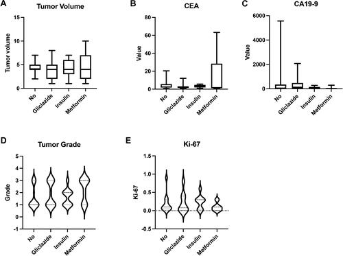 Figure 3 Subgroup analysis of anti-diabetic drugs in PCN patients. We divided diabetic patients into four groups. 1. patients who never took anti-diabetic drugs were in the “No group (N)” (n=11); 2. Patients who mainly took metformin as the “metformin group (M)” (n=10); 3. patients whose regimen was primarily based on gliclazide was “gliclazide group (G)” (n=16); 4. patients who only used insulin was the “insulin group (I)” (n=16). (A) The comparison of tumor volume (P=0.3264) between the no, gliclazide, insulin and metformin groups. (B) The comparison of CEA (P=0.0847) between the no, gliclazide, insulin, and metformin groups. (C) The comparison of CA19-9 (P=0.6079) between the no, gliclazide, insulin and metformin groups. (D) The comparison of the tumor grade (P=0.3264) between the no, gliclazide, insulin and metformin groups. (E) The comparison of the Ki67 value (P=0.7698) between the no, gliclazide, insulin and metformin groups.