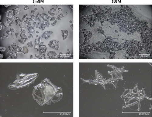 FIGURE 5 Matrix morphology of the two hemostatic agents. Images from digital light microscopy, performed immediately after reconstitution of each agent.