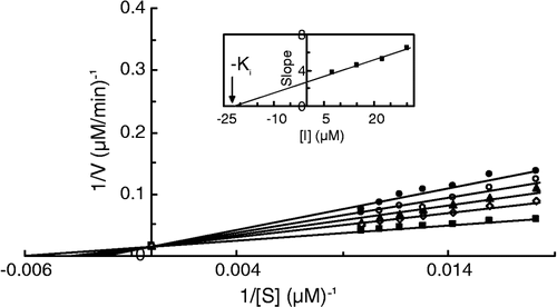 Figure 6 Double reciprocal Lineweaver-Burk plots of MT kinetic assay for catecholase reactions of MeBACat in 10 mM phosphate buffer, pH 6.8, at temperature of 20°C and 11.11 μg/mL enzyme concentration, in the presence of different concentrations of II: 0 mM (▪), 0.0075 mM (◊), 0.015 mM (▴), 0.0225 mM (○), 0.03 mM (•). Inset: secondary plot of the slope against different concentrations of inhibitor, which gives the inhibition constant ( − Ki) from the abscissa-intercept.