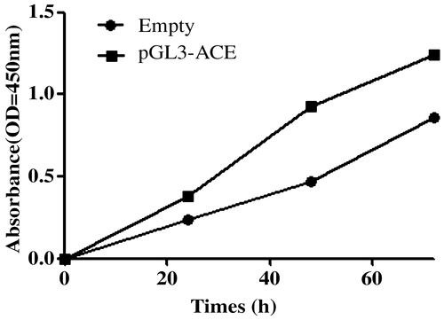 Figure 3. The hypomethylation of ACE promoted cell proliferation.