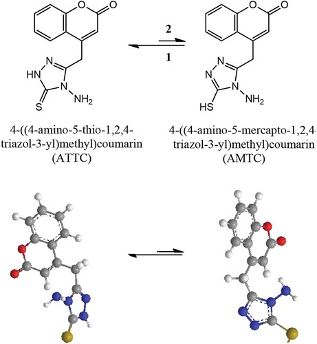 Figure 11. The optimized structures for coumarin isomers ATTC and AMTC.