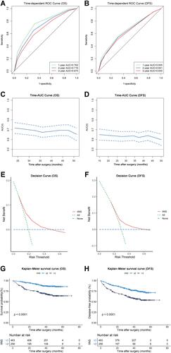 Figure 2 The prognostic performance of inflammation-immunity-nutrition score (IINS) in patients with resectable colorectal cancer. (A) The time-dependent ROC curves of IINS for OS; (B) the time-dependent ROC curves of IINS for DFS; (C) the time-AUC curves of IINS for OS; (D) the time-AUC curves of IINS for DFS; (E) the decision analysis curves of IINS for OS; (F) the decision analysis curves of IINS for DFS; (G) the Kaplan–Meier survival curves of IINS for OS; (H) the Kaplan–Meier survival curves of IINS for DFS.