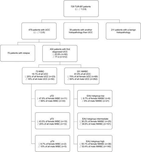 Figure 1 Flowchart of patient selection.Abbreviations: EAU, European Association of Urology; MIBC, muscle invasive bladder cancer; NMIBC, non-muscle invasive bladder cancer; UCC, urothelial cell cancer; TUR-BT, transurethral resection of the bladder tumor.