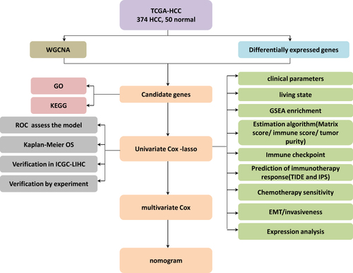 Figure 1 The brief flowchart of this study.