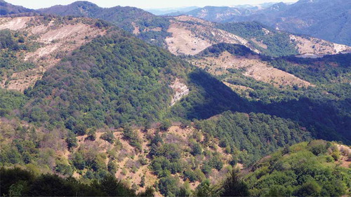 Figure 2. Shrub encroachment on grasslands (view from the locality of Briganzone/San Godenzo). Photo: Andreas Haller (2017).