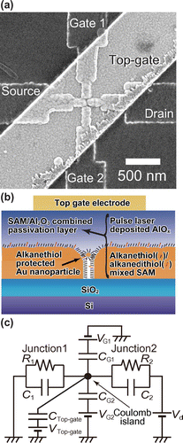 Figure 1. (a) SEM top-view image of hybrid passivated chemically assembled SET with two side-gates (1 and 2), and one top-gate. (b) Cross-sectional image of the hybrid SAM and AlOx-passivated chemically assembled SET with a gold top-gate electrode. (c) Equivalent circuit of the SET with a Coulomb island comprised of a 6.2-nm-diameter chemically synthesized Au nanoparticle, two side-gate electrodes (1 and 2), and one top-gate electrode. The SET parameters are as follows: R1, the tunneling resistance between the source electrode and the Au core of the nanoparticle; R2, the tunneling resistance between the drain electrode and the Au core; C1, the capacitance between the source electrode and the Au core; C2, the capacitance between the drain electrode and the Au core; CG1, the side-gate 1 capacitance; CG2, the side-gate 2 capacitance; Ctop-gate, the top-gate capacitance.