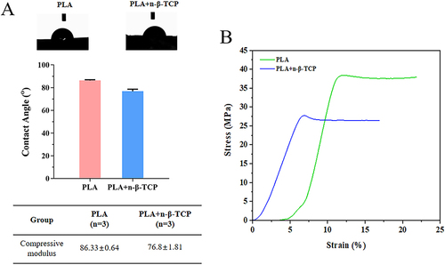 Figure 4 WCA and mechanical properties of the two scaffold groups. (A) WCA and (B) stress-strain curves of the two scaffold groups.