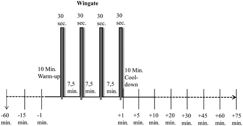 Figure 1. Wingate timesheet. The timeline information is related to the use of stress. Solid line = subject on ergometer; dashed line: subject in supine or seated position; arrow down: permanent venous catheter; marked columns: physical stress.