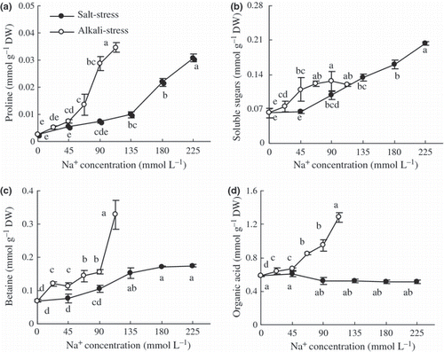 Figure 6 Effects of salt and alkali stresses on the contents of (a) proline, (b) soluble saccharides, (c) betaine and (d) organic acid in the wheat shoots. Salt stress: NaCl : Na2SO4 = 1:1, pH 6.6–6.95; alkali stress: NaHCO3 : Na2CO3 = 1:1, pH 9.77–9.96. The values are the means of five replicates. Means followed by different letters in the same curve are significantly different at P ≤ 0.05 according to least significant difference test. DW, dry weight.