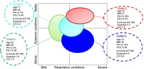 Figure 1 Grouping of patients given by cluster classification depending on respiratory conditions (horizontal axes) and systemic conditions (vertical axes) based on multiple correspondence analyses.