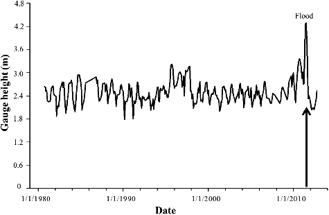 Figure 2. Gage height in the Lewis and Clark Delta at Springfield, South Dakota, from 1980 to 2012. The 2011 flood was the most severe hydrological disturbance in recent history. Gage height was measured by the United States Geological Survey (USGS gage 06466700, 408905 E, 4745408 N).