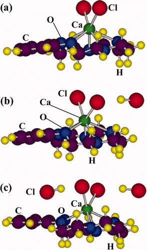 Figure 13. The optimized structures of (a) [B15C5 + CaCl2], (b) [B15C5 + CaCl2 + HCl] and (c) [B15C5 + CaCl2 + 2HCl].