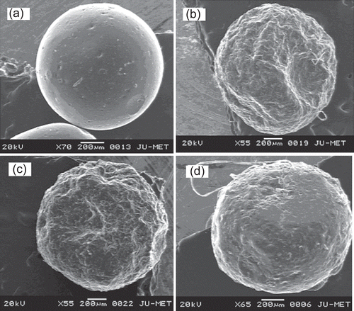 Figure 3.  Scanning electron micrographs of blank and glipizide-loaded CMLBG bead. Key: Concentration of aluminium chloride: (a) 5% (blank bead); (b) 1%; (c) 3%; (d) 5%.