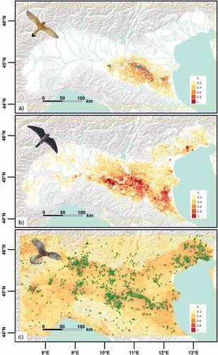 Figure 2. Environmental and climatic suitability of the Po Plain (Northern Italy) for the three Falco species that recently expanded in the area. a) lesser kestrel, b) red-footed falcon, c) common kestrel. Colour intensity is proportional to the suitability, ranging from 0 (pale red) to 1 (dark red). Dots represent the certain breeding occurrences recorded for each species and used to run the models.