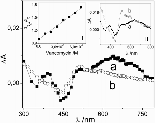 Figure 2 Transient absorption spectra of (a) 0.01 mM riboflavin and (b) 0.01 mM riboflavin + 0.05 mM vancomycin taken at 1 and 30 μs after the laser pulse, respectively, in Argon-saturated aqueous solutions. Inset I: Stern–Volmer plot for the interaction of 3Rf* with vancomycin. Inset II: transient absorption spectra of (a) 0.01 mM riboflavin (1 μs) and (b) 0.01 mM riboflavin + 0.05 mM vancomycin (30 μs) normalized at 670 nm, in Argon-saturated aqueous solutions.