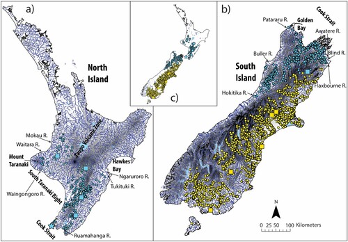 Figure 6. Distribution maps for G. breviceps (yellow) and G. mataraerore (blue). Dots represent known localities from museum records; squares indicate localities of lots examined for this study. The locality of the holotype of G. mataraerore (Mangarae Stream, Tangarakau) is indicated with a blue star. The holotype locality of G. breviceps is the Kowai River, Canterbury, New Zealand, but the precise coordinates are unknown.