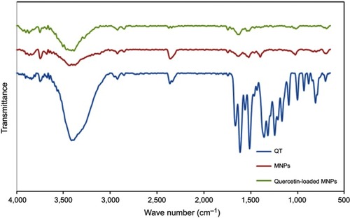 Figure 5 Fourier-transform infrared spectra of quercetin, CD–Fe3O4, and quercetin-loaded MNPs. Abbreviations: CD, cyclodextrin; MNPs, magnetic nanoparticles.