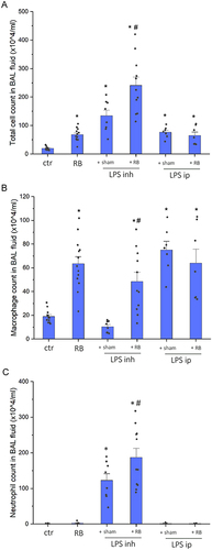 Figure 1 BAL cellularity following resistive breathing and endotoxin exposure. Increased total cell count in BAL fluid was noticed following LPS inhalation (A), due to infiltration of neutrophils. Combined resistive breathing and inhaled LPS further increased total cell number, due to rise of both macrophages (B) and neutrophils (C). In contrast, combination of RB and intraperitoneal LPS did not cause a further increase in total cell numbers, compared to each treatment alone. Data presented as mean ± sem, with overlapped data points, n=7–13 per group, *p<0.05 to ctr, #p<0.05 to LPS inh.