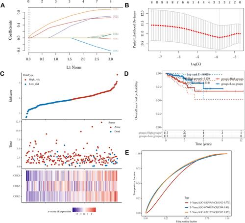 Figure 5 Construction of risk characteristics in the TCGA queue.(A) LASSO coefficient profiles.(B) Ten-time cross-validation for tuning parameter selection in the LASSO mode.(C) The risk score, survival status, and heat map of CDK3, CDK5 and CDK8 in patients with CRC.(D) Kaplan-Meier curves for the OS of patients in the high- and low-risk groups.(E) ROC curves demonstrated the predictive efficiency of the risk score.