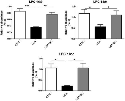 Figure 4. Serum exposure levels of LPC 16:0, LPC 18:0, and LPC 18:2 in different groups, including control (CTRL), LCA-treated (LCA), and LCA + glycyrrhizin-treated (LCA + GL) groups. The peak area is used, and data are given as mean ± S.E.M. (n = 4–5 in each group). *p < 0.05; **p < 0.01, ***p < 0.001.