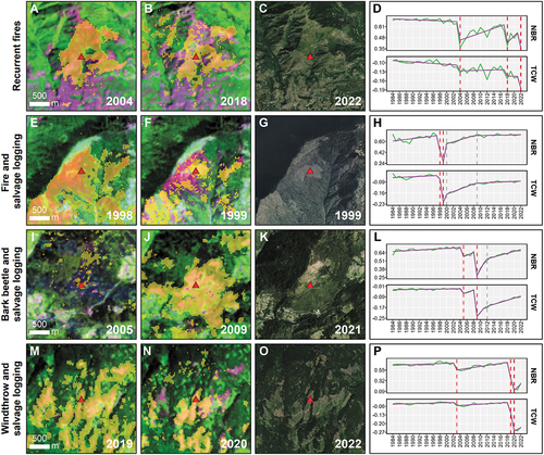 Figure 13. Examples of forest patches, depicted in yellow, that were disturbed multiple times during the analysis period. Each row shows results from HILANDYN, recent high-resolution satellite imagery, and temporal profiles of NBR and TCW. We parametrised the algorithm according to the configuration that achieved the highest F1 score (Section 3.1). Recurrent wildfires (a-d; 7° 9’1.02“E; 45° 9’35.57“N). Wildfire followed by salvage logging (e-h; 9°39’23.26“E; 46°11’59.51“N). Bark beetle attack followed by salvage logging (i-l; 14°42’0.63“E; 46°16’1.43“N). Windthrow followed by salvage logging (m-p; 11°21’13.93“E; 46°17’41.66“N).