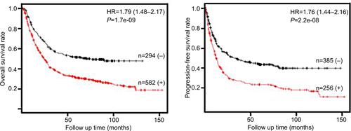 Figure S3 Kaplan–Meier survival curves of overall and progression-free survival for patients with AMF/GPI-negative and AMF/GPI-positive, from Kaplan–Meier Plotter (Szasz, Lanczky et al. 2016).Abbreviations: AMF, autocrine motility factor; GPI, glucose-6-phosphate isomerase.