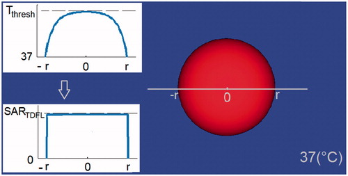 Figure 1. Main image: Modelled hotspot-mimicking a spherical target inside a tissue at 37(°C). Inset images: Induction of temperatures up to Tthresh at centre of the sphere, and the corresponding SARTDFL.