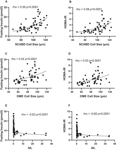 Figure 1. Relationships between subcutaneous abdominal (panels A and B) or omental (panels C and D) adipose cell size, plasma A/L ratio (panels E and F) and fasting insulin levels (left) and HOMA-IR index (right). A: adiponectin; HOMA-IR: HOmeostasic Model Assessment of Insulin Resistance; L: leptin; OME: omental; SCABD: subcutaneous abdominal.